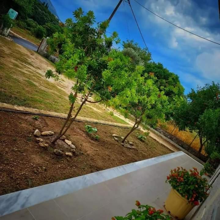 Calma Studios Párga Kültér fotó